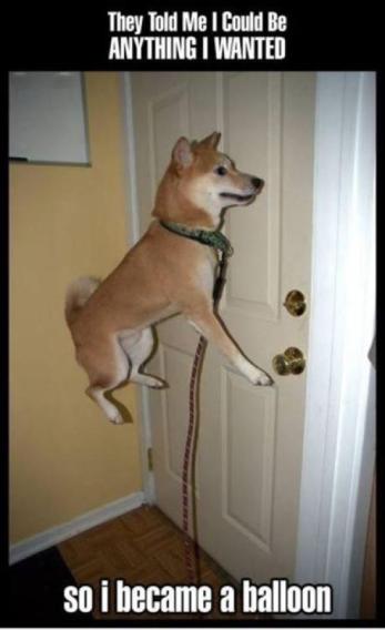 a.aaa-They-told-me-that-i-could-be