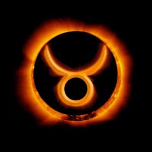 6a0133f538e9e4970b019101d76ce1970c-500wi